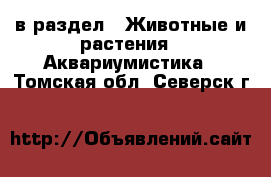  в раздел : Животные и растения » Аквариумистика . Томская обл.,Северск г.